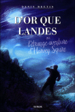 D`or que landes ou l`étrange aventure d`Harvey Squire Denis Bretin édition Syros littérature de jeunesse roman étrange Ecosse